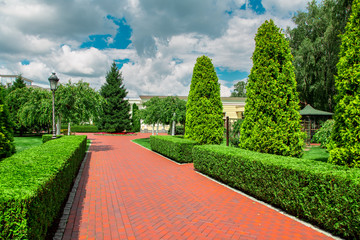Fototapeta na wymiar pedestrian pavement from paving slabs in the backyard of the building with a hedge of thuja bushes and other plants with white clouds in the blue sky.