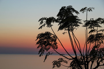 silhouette of alanya city at sunset