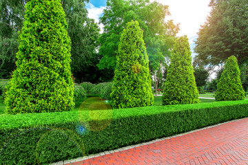 Park landscape design with footpaths of red tile and evergreen hedge of bush thuja and sun flare in the sky.