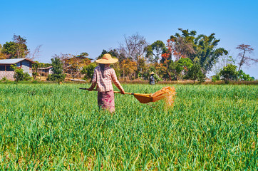 Explore farmalands of Myanmar