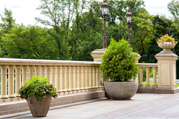 stone flowerpot with thuja near the railing with a balustrade and a stone flowerpot on a pedestal and posts with lanterns in retro style in the background tree branches and a cloudy sky.