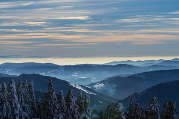 Wandern im Winterwunderland auf dem Feldberg bei strahlendem Sonnenschein