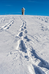 Wandern im Winterwunderland auf dem Feldberg bei strahlendem Sonnenschein