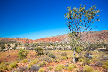 West MacDonnell Ranges View