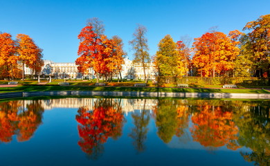 Catherine palace in autumn foliage, Tsarskoe Selo (Pushkin), Saint Petersburg, Russia