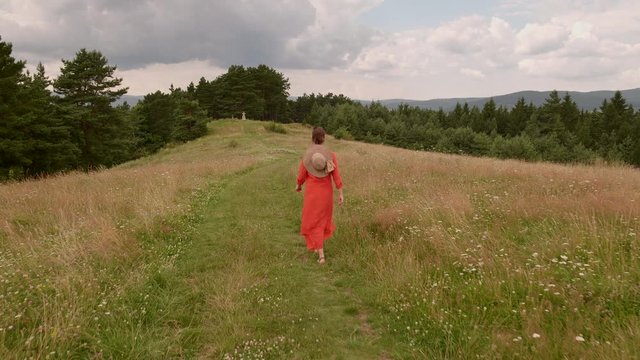 Woman walking hilltop forest road, enjoying pristine fields filled with wildflowers in a highland area - camera rise