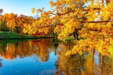 Golden autumn (fall) in Alexander park, Tsarskoe Selo (Pushkin) Saint Petersburg, Russia