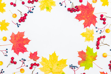 Flat lay frame with colorful autumn leaves and berries on a white background