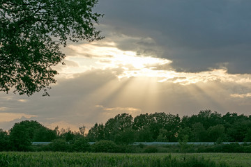 Sunshine aftemoon background Dorsten Rhade Germany fifty megapixels