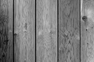 Fototapeta premium grey wooden plank made of Siberian larch background