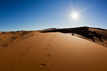 Africa, Namibia, Namib Naukluft National Park, Footprints on sand dunes at the naravlei in the namib desert