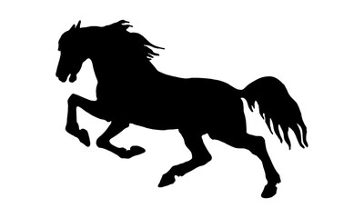 Fototapeta na wymiar isolated image, drawing, black silhouette, galloping horse on white background. 