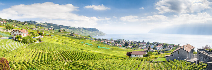 The Lavaux Vineyard Terraces, stretching for about 30 km along the south-facing northern shores of Lake Geneva from the Chateau de Chillon to the eastern outskirts of Lausanne in the Vaud region. - obrazy, fototapety, plakaty