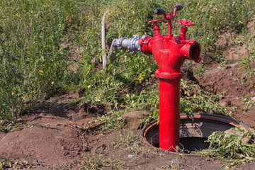 Fototapeta na wymiar Fire hydrant on a farm on a summer day. Extinguishing media on the farm.
