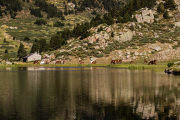 Fototapeta na wymiar lac de Pradeilles 