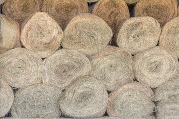 Harvesting hay for the winter. Agriculture in the summer. The hay storage shed full of bales hay on farm.