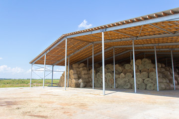 Agricultural buildings on the construction of a new farm. Buildings and facilities for agriculture.