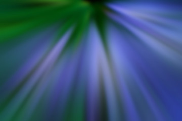 abstract light background garden flowers blur background, good morning concept