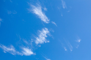 Fototapeta na wymiar Blue sky with cloud at Phuket Thailand.