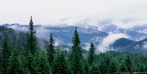 Photo from travel in the mountains. Mountain landscape with fog, needles. Beautiful mountains traveling in the mountains.