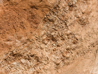 Fossils in the Andes, Huancayo, Peru