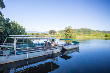 Naklejka premium Daintree Riverboar Cruise