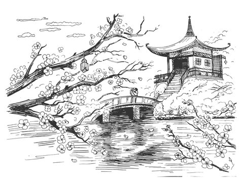 42,769 Chinese Garden Drawing Images, Stock Photos & Vectors | Shutterstock