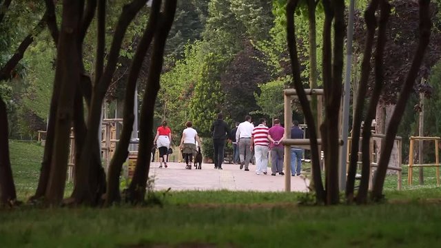 People Walking in th Park, A lot of People Chill at Weekend