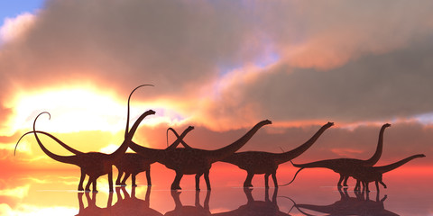 Diplodocus Dinosaur Reflection - A Diplodocus dinosaur herd wades through shallow water on a lake that reflects their shadows and clouds from the sky like a mirror. © Catmando