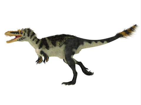 Alioramus altai Side Profile - Alioramus altai was a theropod carnivorous dinosaur that lived in Mongolia during the Cretaceous Period.
