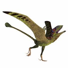 Peteinosaurus Reptile Mating Display - Peteinosaurus was a carnivorous flying pterosaur that lived in Italy during the Triassic Period. © Catmando