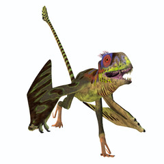 Peteinosaurus Reptile Running - Peteinosaurus was a carnivorous flying pterosaur that lived in Italy during the Triassic Period. © Catmando