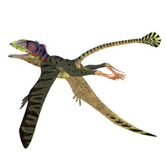 Peteinosaurus Reptile Tail - Peteinosaurus was a carnivorous flying pterosaur that lived in Italy during the Triassic Period. © Catmando