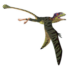 Peteinosaurus Reptile Wings Down - Peteinosaurus was a carnivorous flying pterosaur that lived in Italy during the Triassic Period. © Catmando