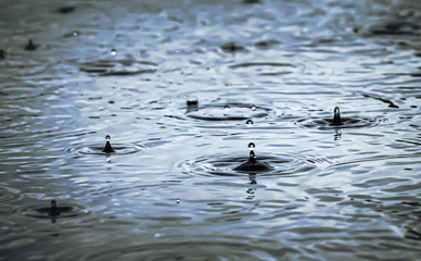 blue rain drops falling on the ground