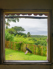 A view of the Atlantic Forest and Atlantic Ocean framed by a window in Vila Velha - Itamaraca Island, Brazil