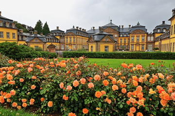 Rosen vor dem Residenzschloss Bad Arolsen in Deutschland