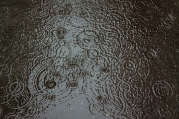 Rain drops in the puddles.