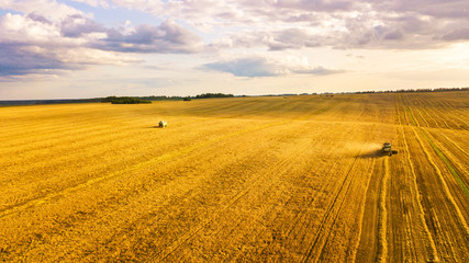 Harvester machine working in field. Combine harvesters