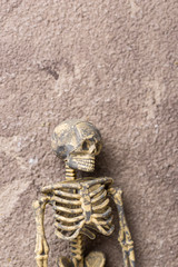 Halloween festive background with skeleton