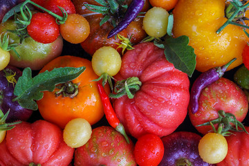 Colorful tomatoes and chili peppers (cayenne pepper), background. Texture, variety of fresh organic tomatoes. Top view, close-up.