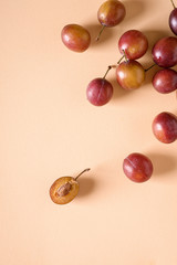 Scattered sliced half ripe sweet plum fruits with water drops on cream colored background, bright, top view, flat lay, copy space
