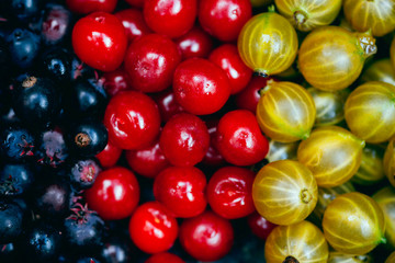 Close up  top view of fresh juicy ripe berries . Colorful assorted mix of green gooseberry, cherries, Amelanchier ovalis ( shadbush) and strawberries 