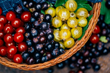 Close up  top view of fresh juicy ripe berries . Colorful assorted mix of green gooseberry, cherries, Amelanchier ovalis ( shadbush) and strawberries 