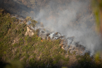Helicopters putting out a forest fire in the Sierra Bermeja mountains in Estepona, Spain