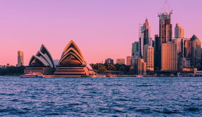 Sydney harbour under magenta skies 