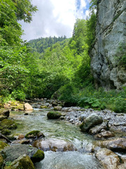 Fototapeta na wymiar Abkhazia, mountain river in the gorge Tsandripsh in the summer in cloudy day