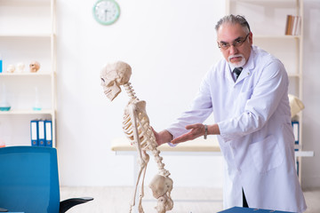 Aged male doctor with skeleton