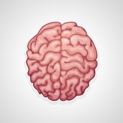 Brain, human organ, idea and medical neurology