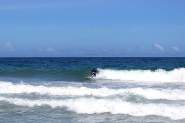 surf 3